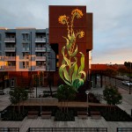 Para sobrevivir en este valle se debe ser una fiera.