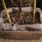 Tachando una casa zen azul.