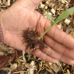 El agua que no has de poder ver correr, en tu casa la has de beber.