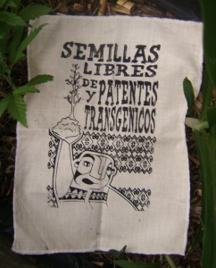 serigrfia instantanea